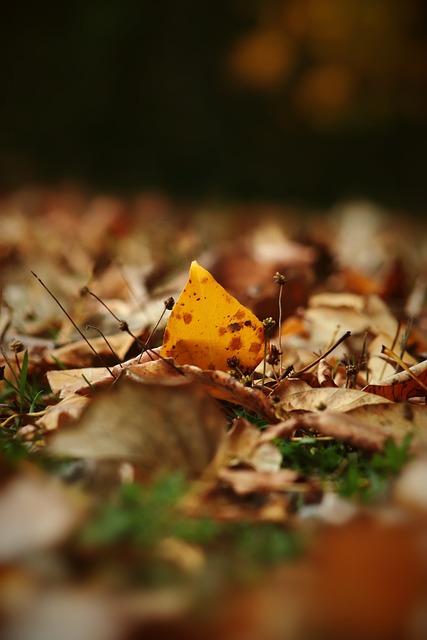 管理能力显 管理能力显