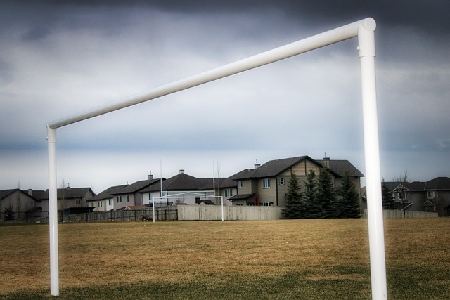 在这场比赛 在这场比赛