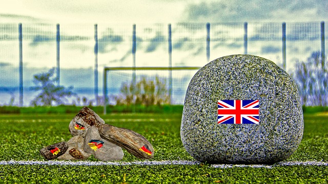 本地球员的 本地球员的