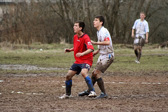 得到了回报 得到了回报