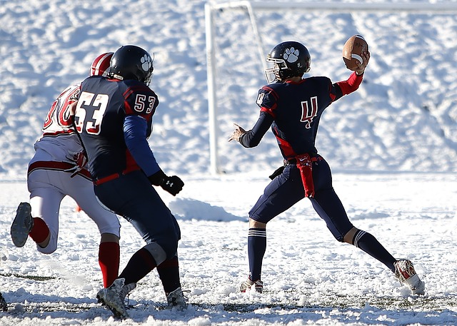 部分原因可 部分原因可