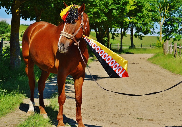 际舞台上站 际舞台上站
