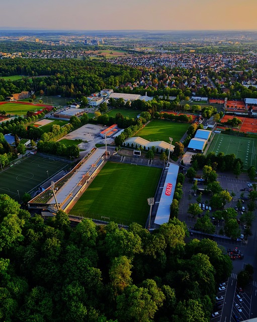 篮网的未来 篮网的未来