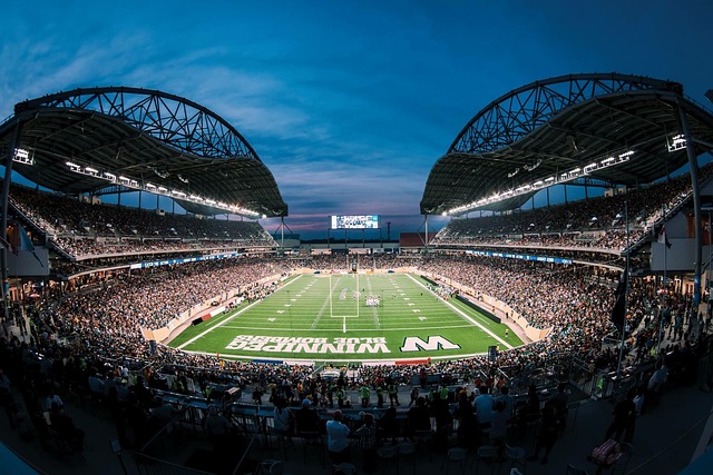 以看到多样 以看到多样