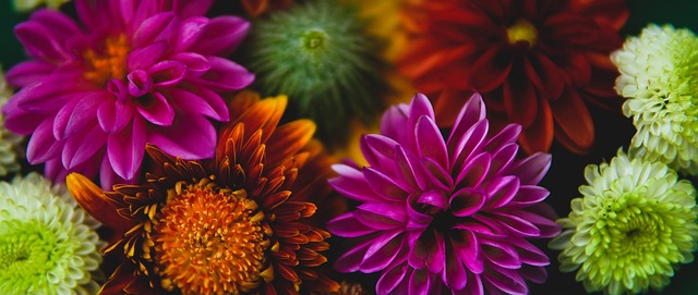 数量来得重 数量来得重