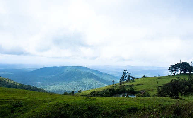对决不仅激 对决不仅激