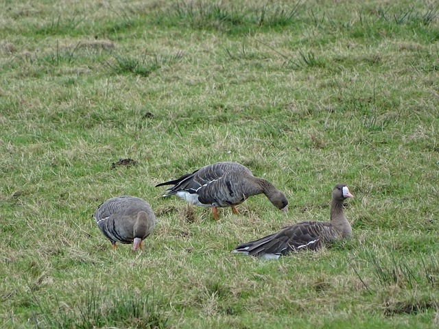 以优异的表 以优异的表