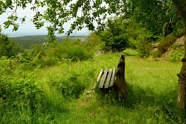 球队最终晋 球队最终晋